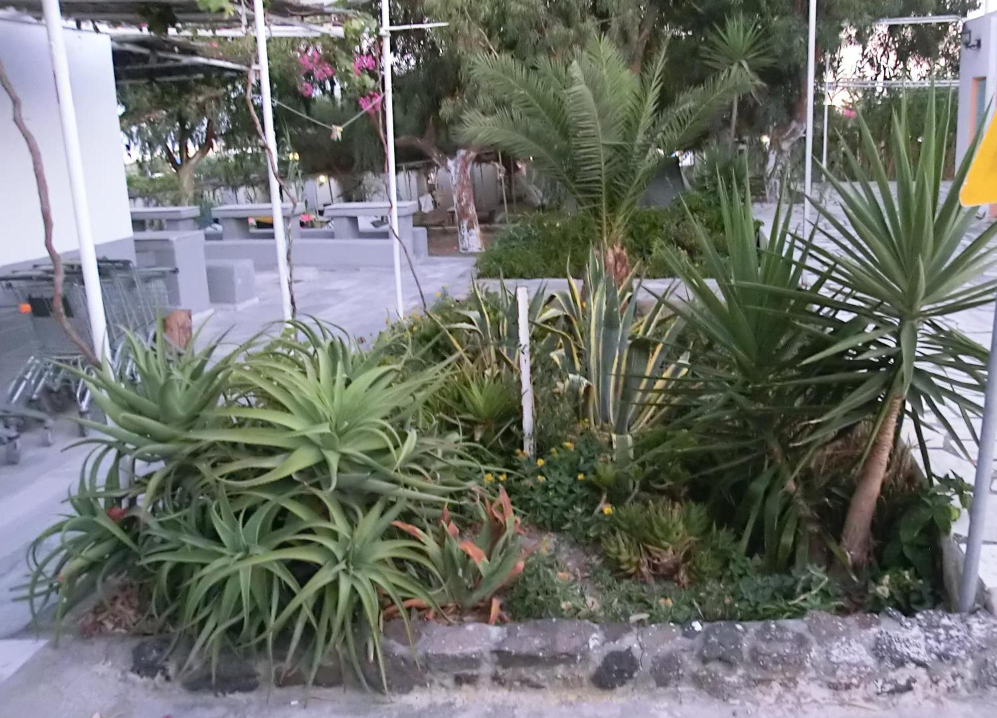 Santorini Camping & Hostel 费拉 外观 照片